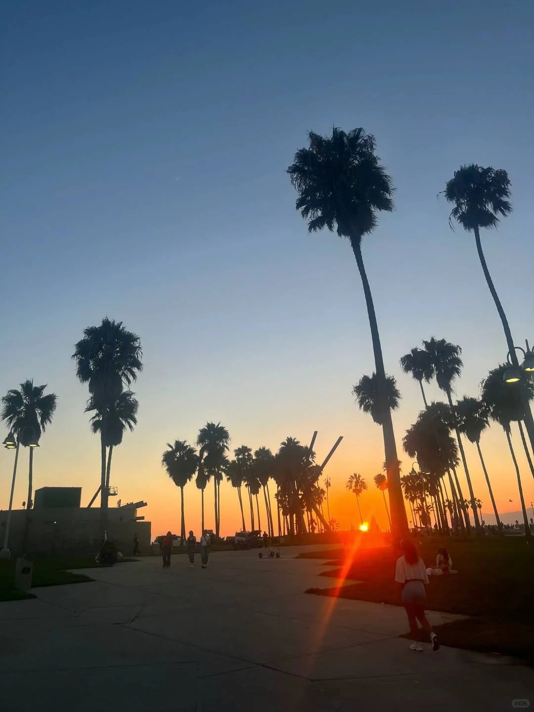 🌴洛杉矶：这里的一切都能被吐槽，除了好天气_8_21克漫游Mirage_来自小红书网页版.jpg