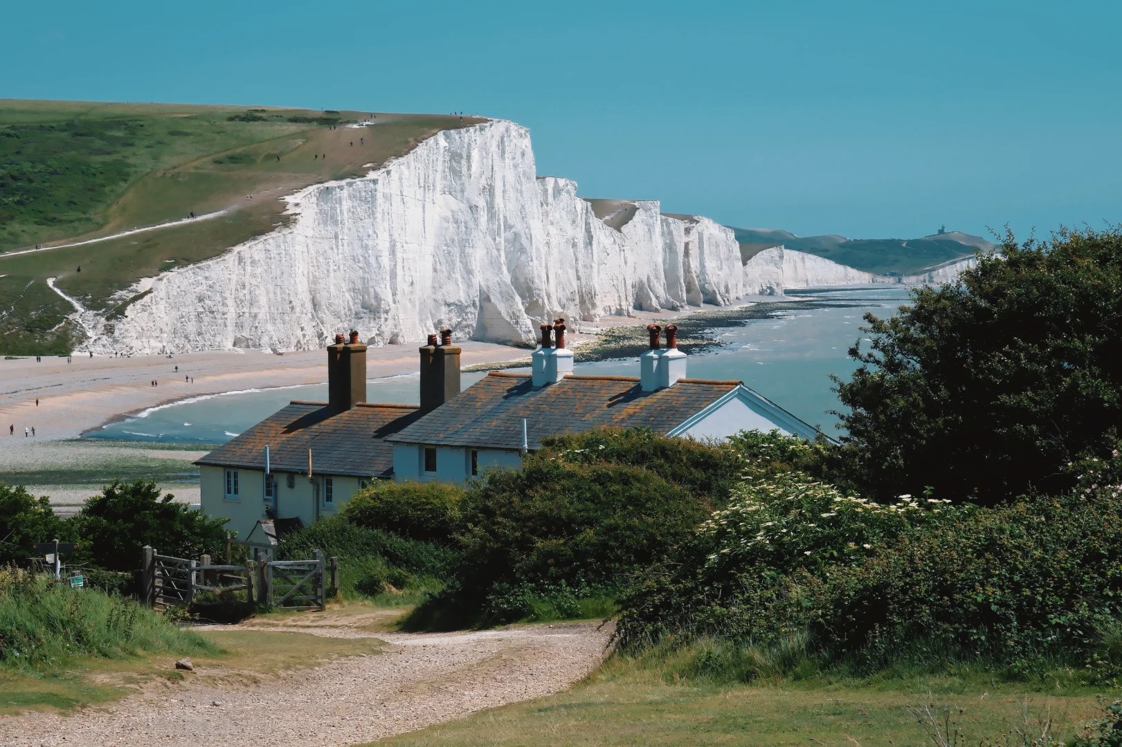 Journey ｜ 来自白垩纪的浪漫礼物💝_4_青柠无尽夏_来自小红书网页版.jpg