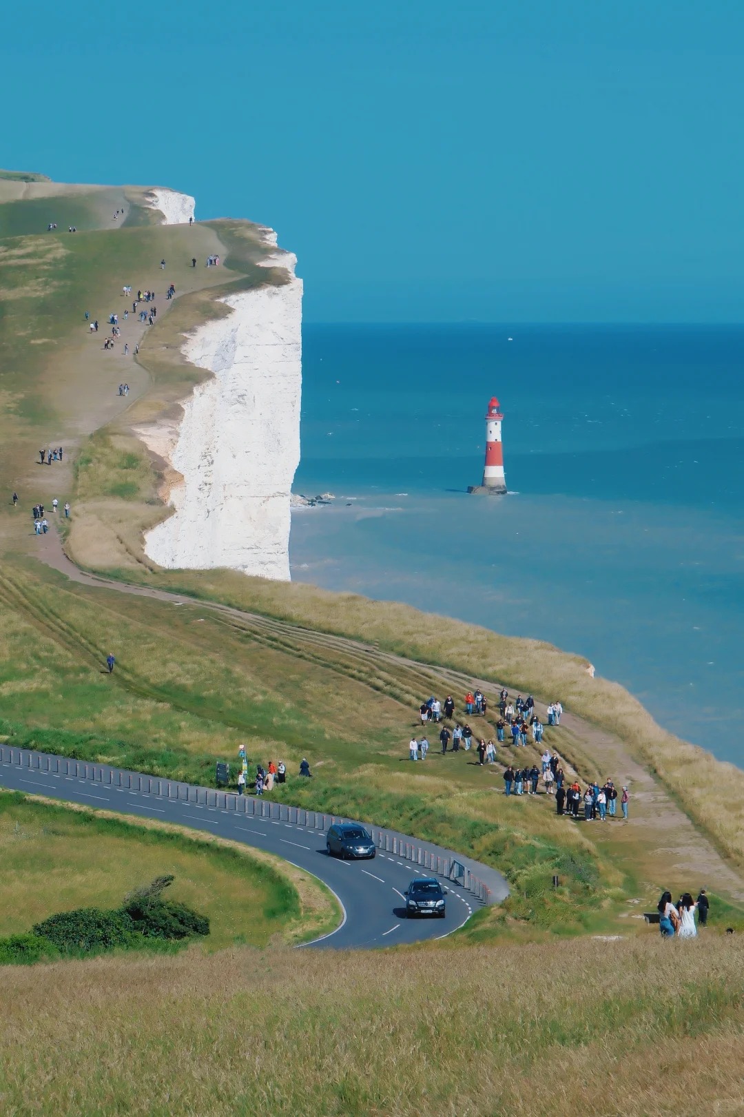 Journey ｜ 来自白垩纪的浪漫礼物💝_10_青柠无尽夏_来自小红书网页版.jpg