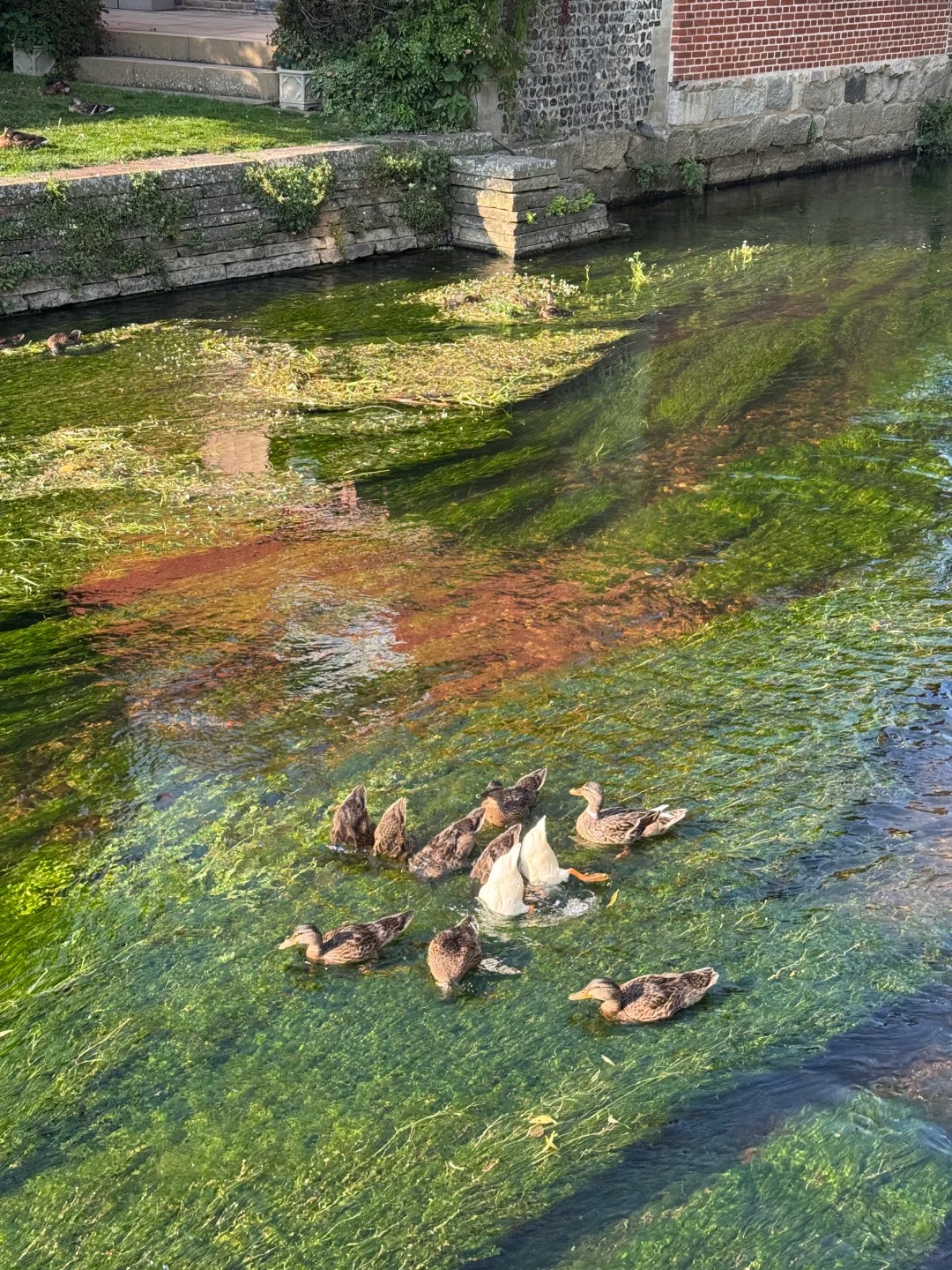 🇬🇧这个英国油画小镇也太仙了！_6_Joanna 晨曦_来自小红书网页版.jpg