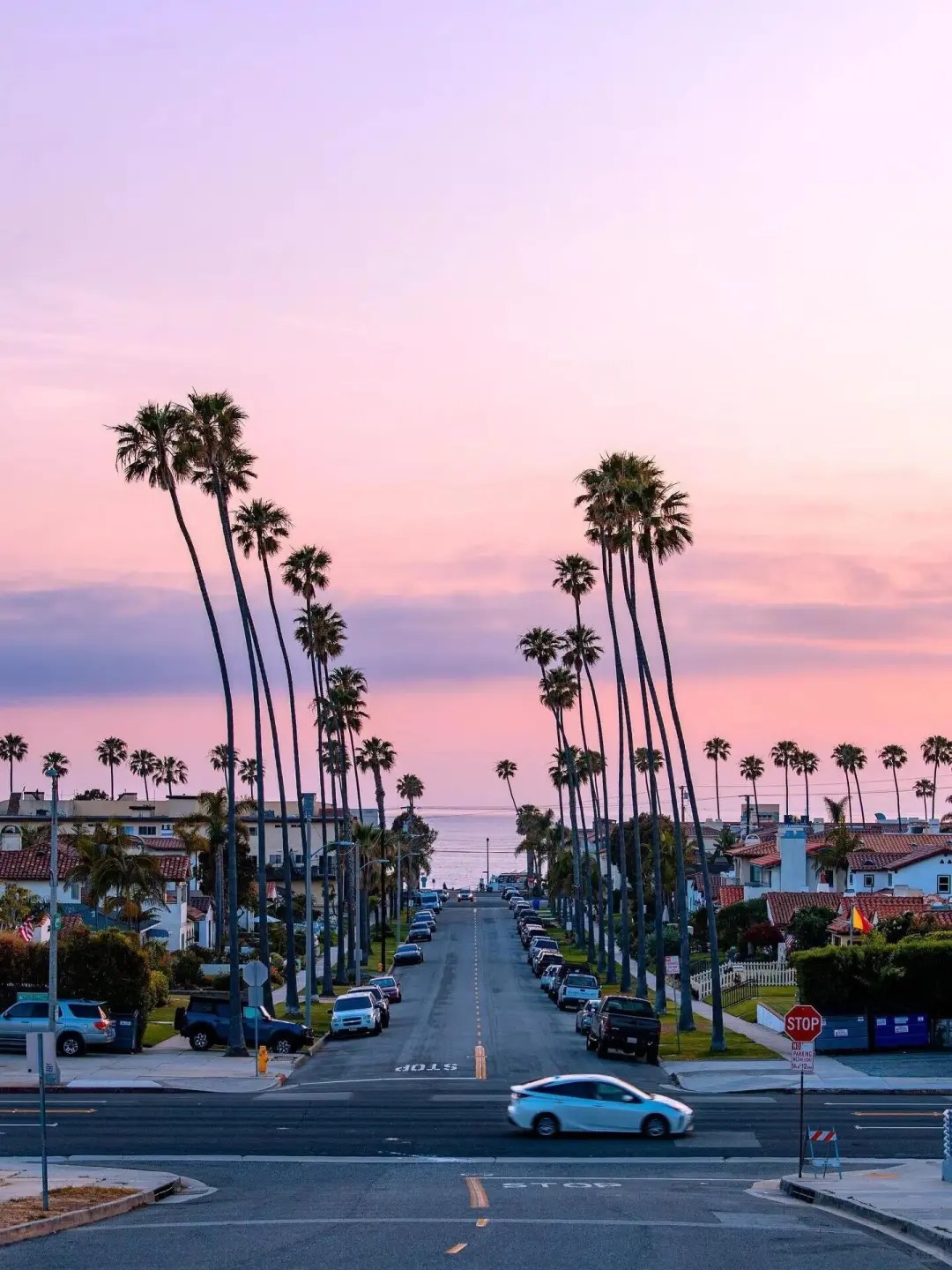 City of Angels—洛杉矶🇺🇸加州特产✨_5_集好家西西租房_来自小红书网页版.jpg