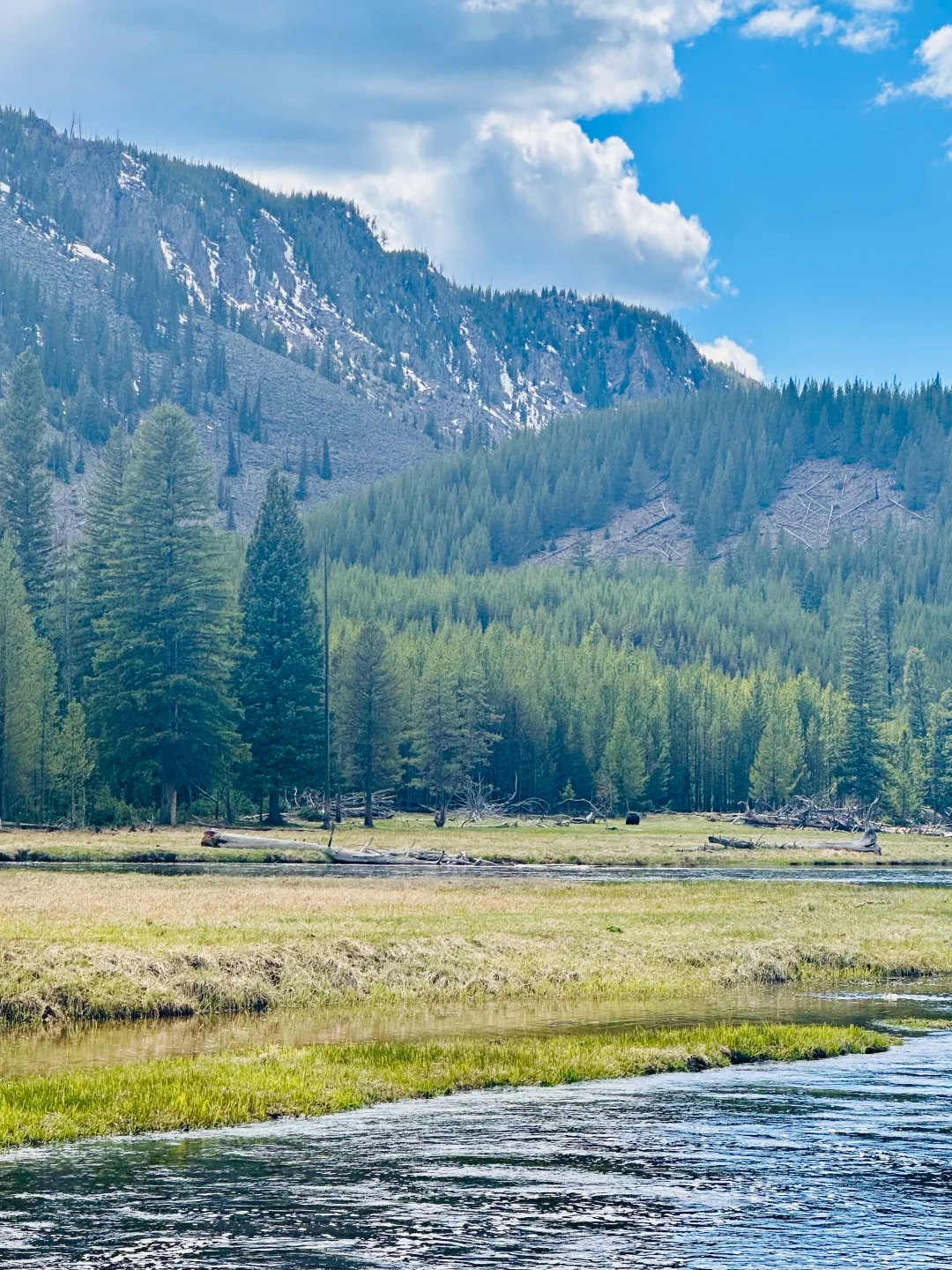 📍黄石国家公园 野性的宁静_1_摸鱼局局长_来自小红书网页版.jpg
