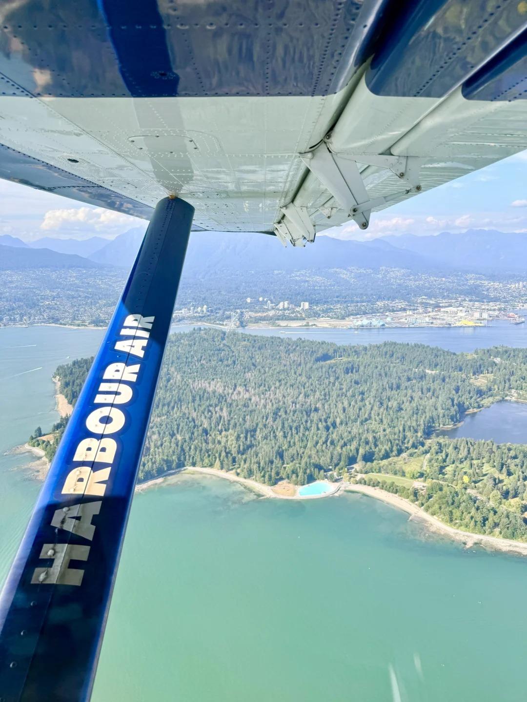 wmremove-transformed (1).jpg