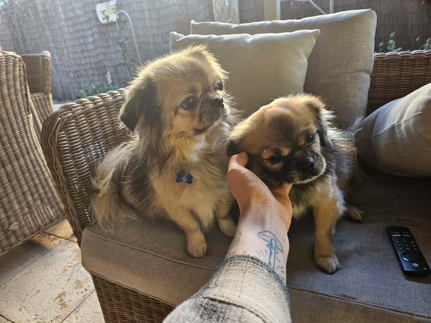 looking for friends to play pool_3_Blair Morris_来自小红书网页版.jpg