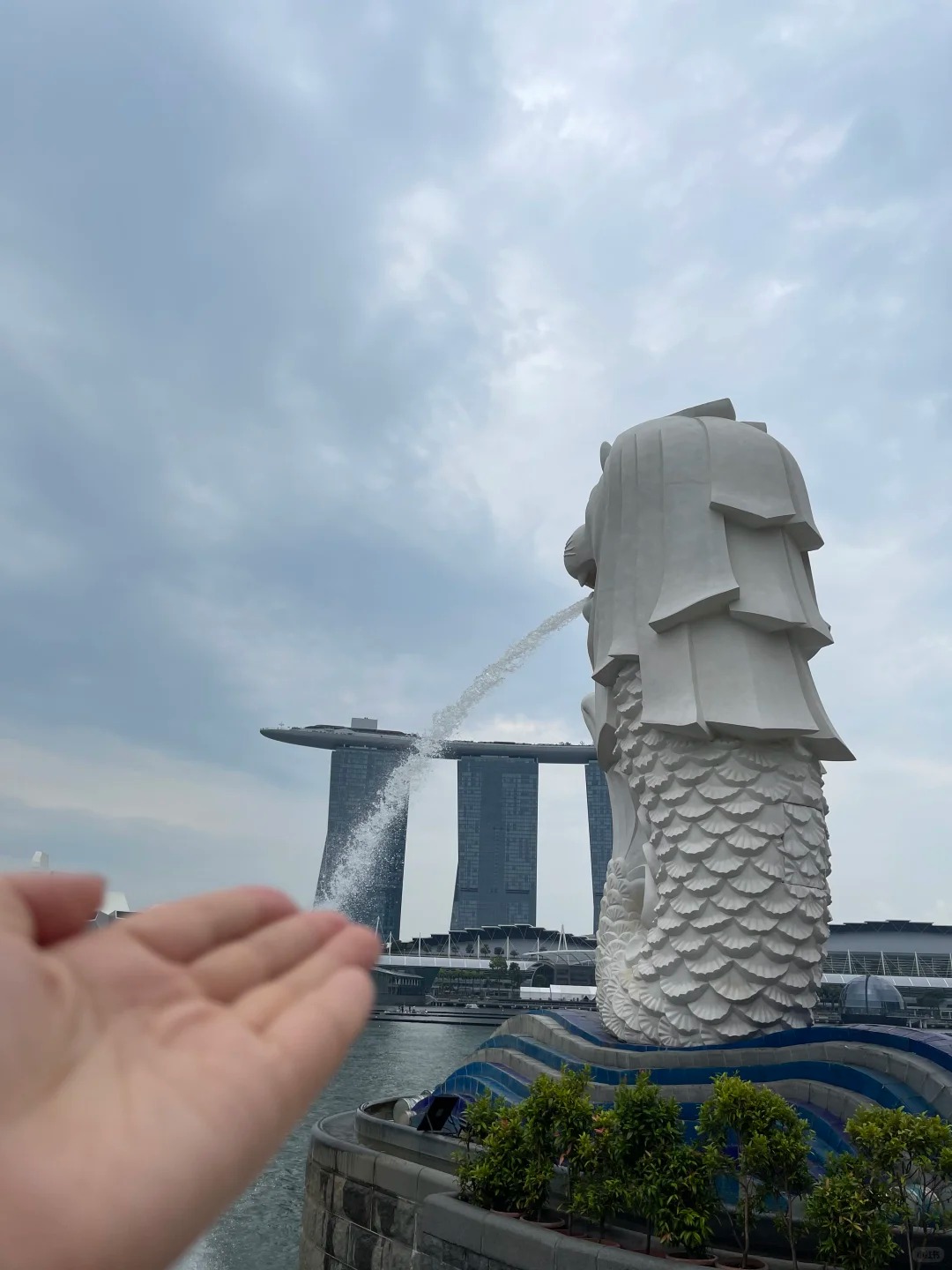 新加坡～见到了丑萌丑萌的地标鱼尾狮_3_一个想想想_来自小红书网页版.jpg
