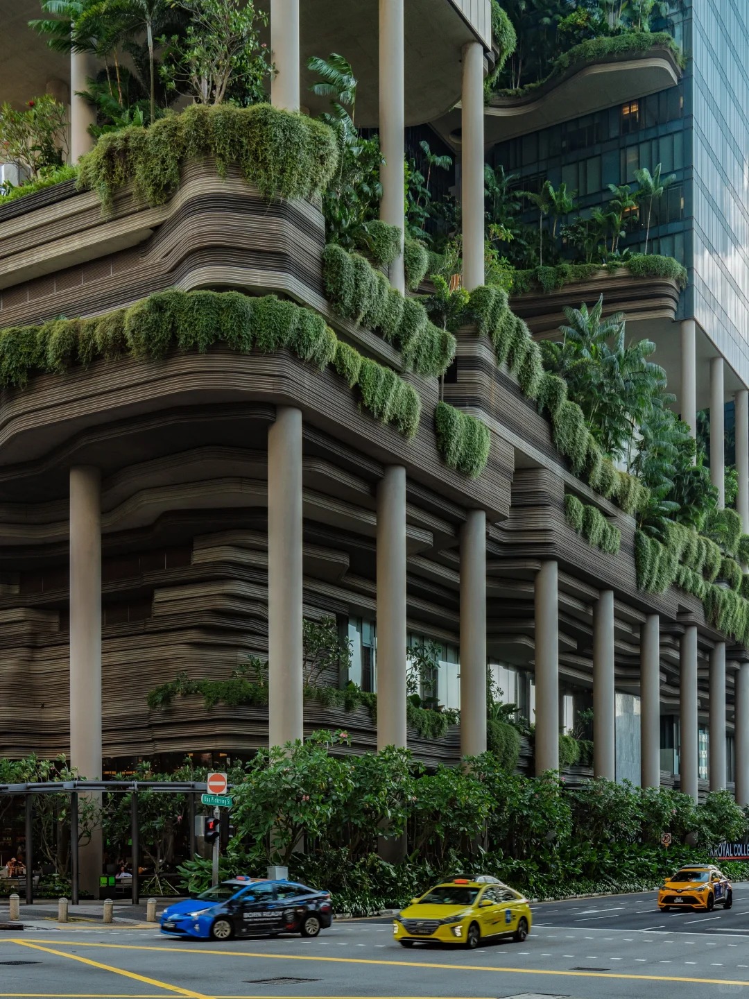 走过新加坡这条街🌿才明白什么叫垂直森林_5_Drinky小键键_来自小红书网页版.jpg