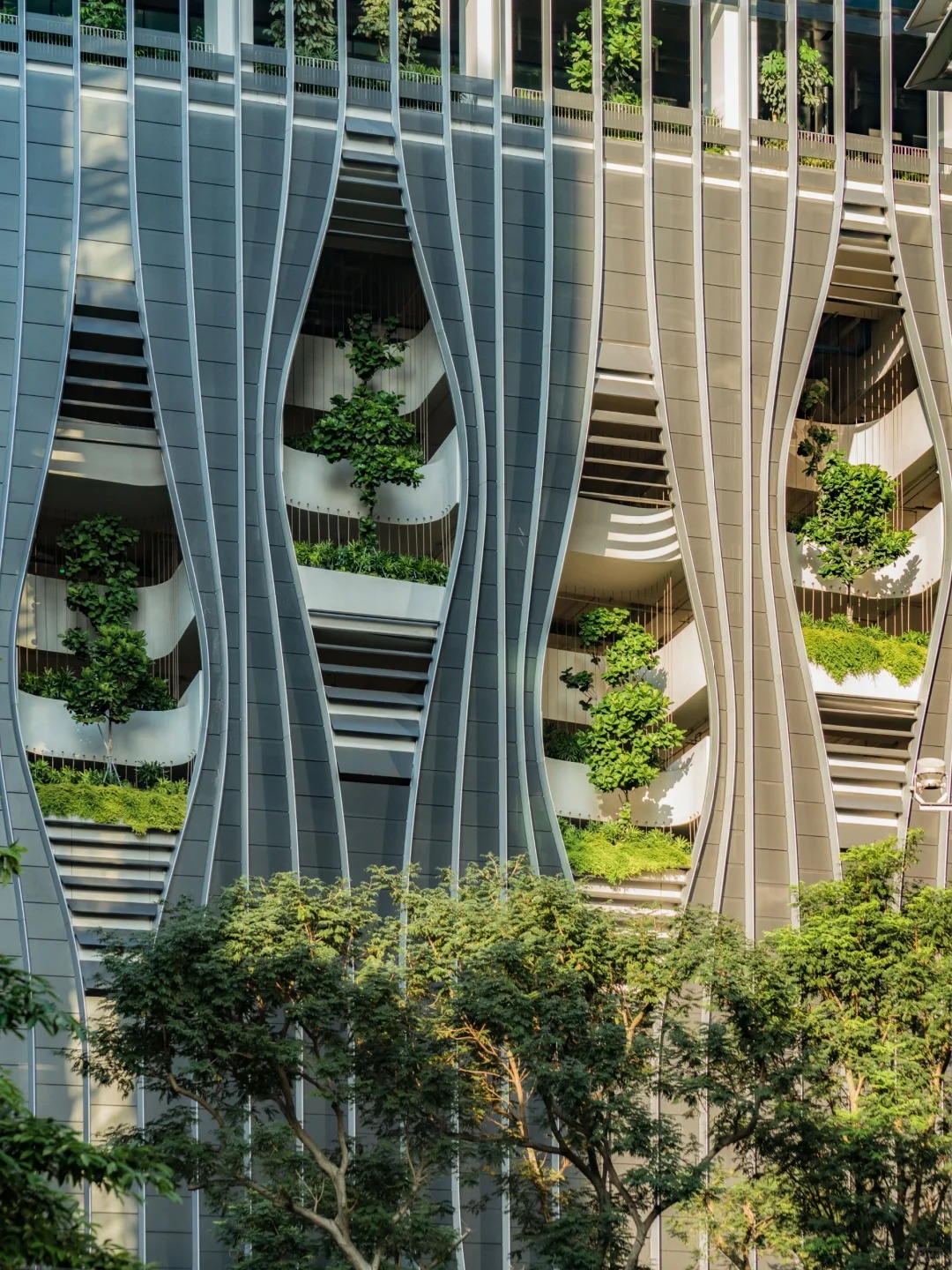 走过新加坡这条街🌿才明白什么叫垂直森林_6_Drinky小键键_来自小红书网页版.jpg