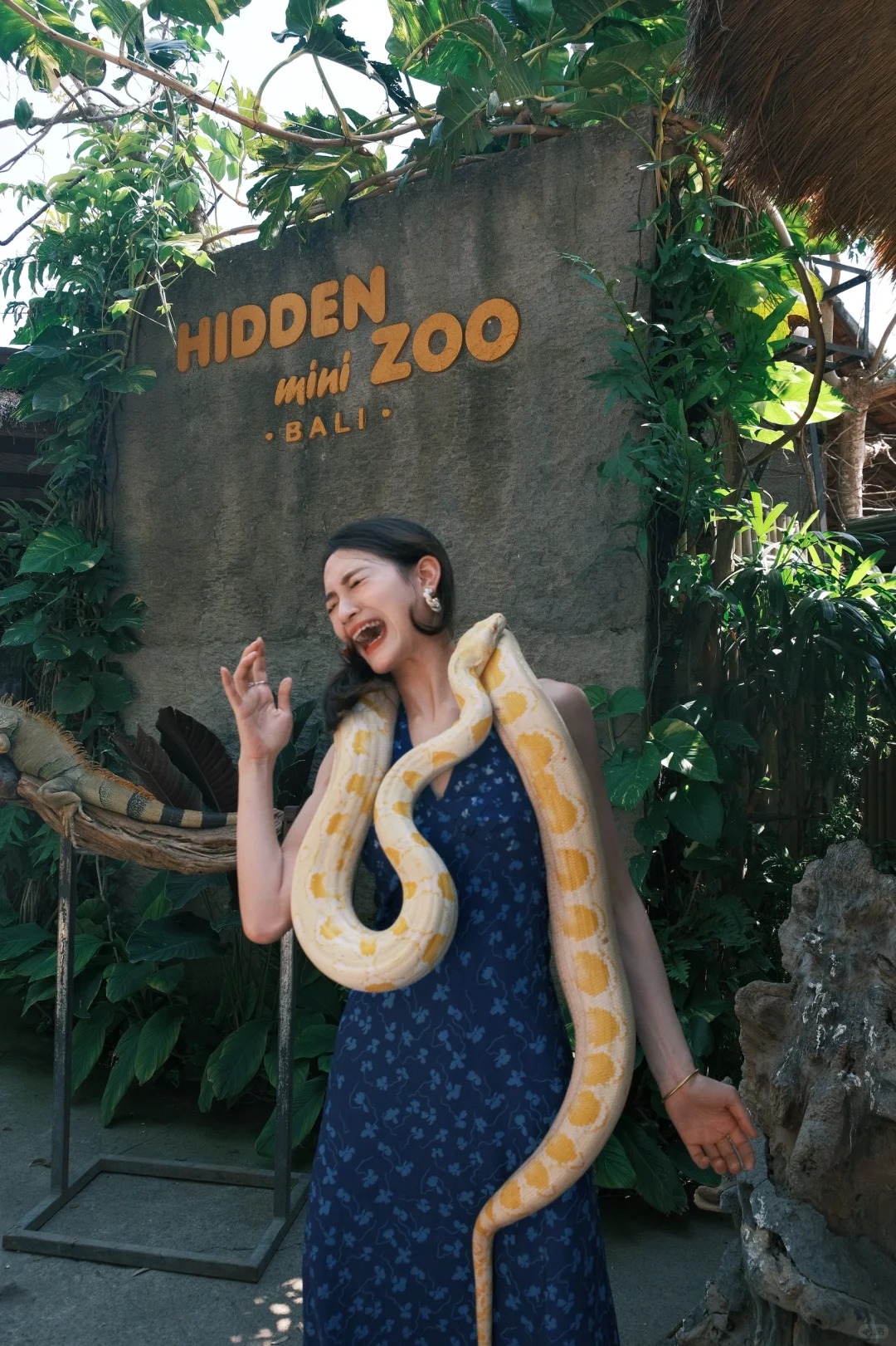 ❗️❗️❗️来巴厘岛必去的Hidden mini zoo_1_玖玖的乱七八糟💫_来自小红书网页版.jpg