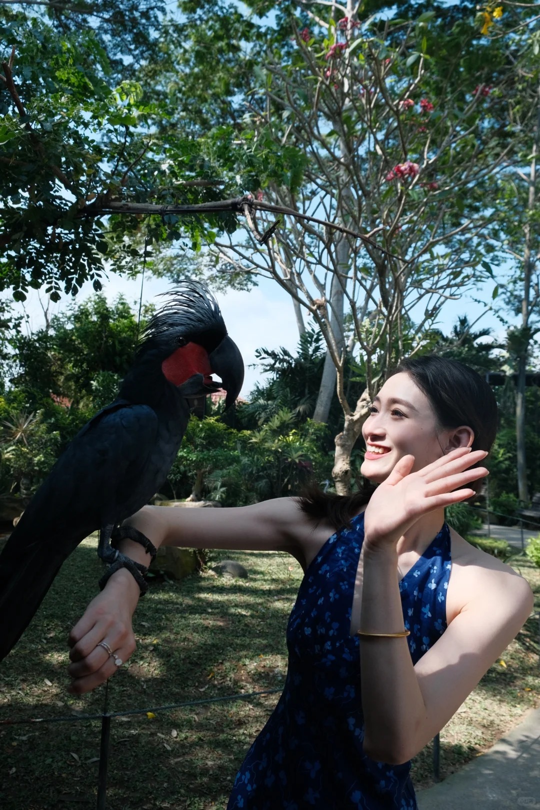 ❗️❗️❗️来巴厘岛必去的Hidden mini zoo_4_玖玖的乱七八糟💫_来自小红书网页版.jpg