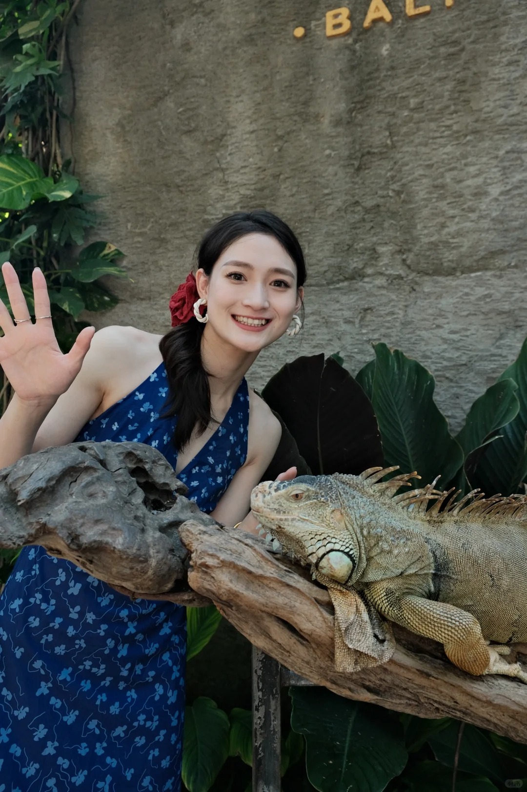 ❗️❗️❗️来巴厘岛必去的Hidden mini zoo_6_玖玖的乱七八糟💫_来自小红书网页版.jpg