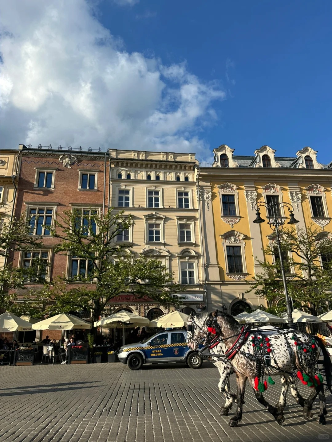 📍波兰旅行日记 _ 一起探索克拉科夫吧！🇵🇱_4_catie_来自小红书网页版.jpg