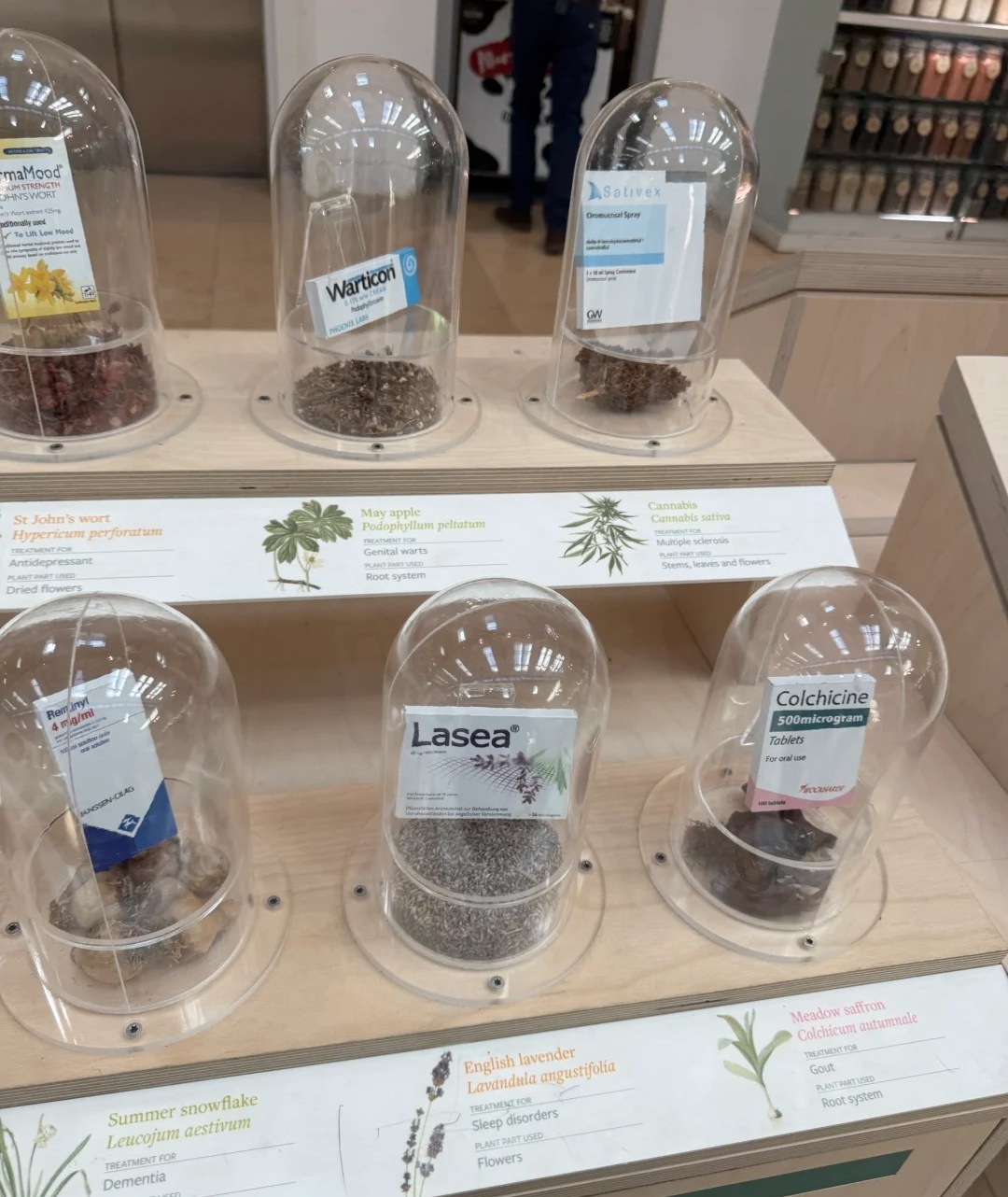 伦敦周边紫藤秘境RHS Garden Wisley_18_打喷嚏冠军_来自小红书网页版.jpg