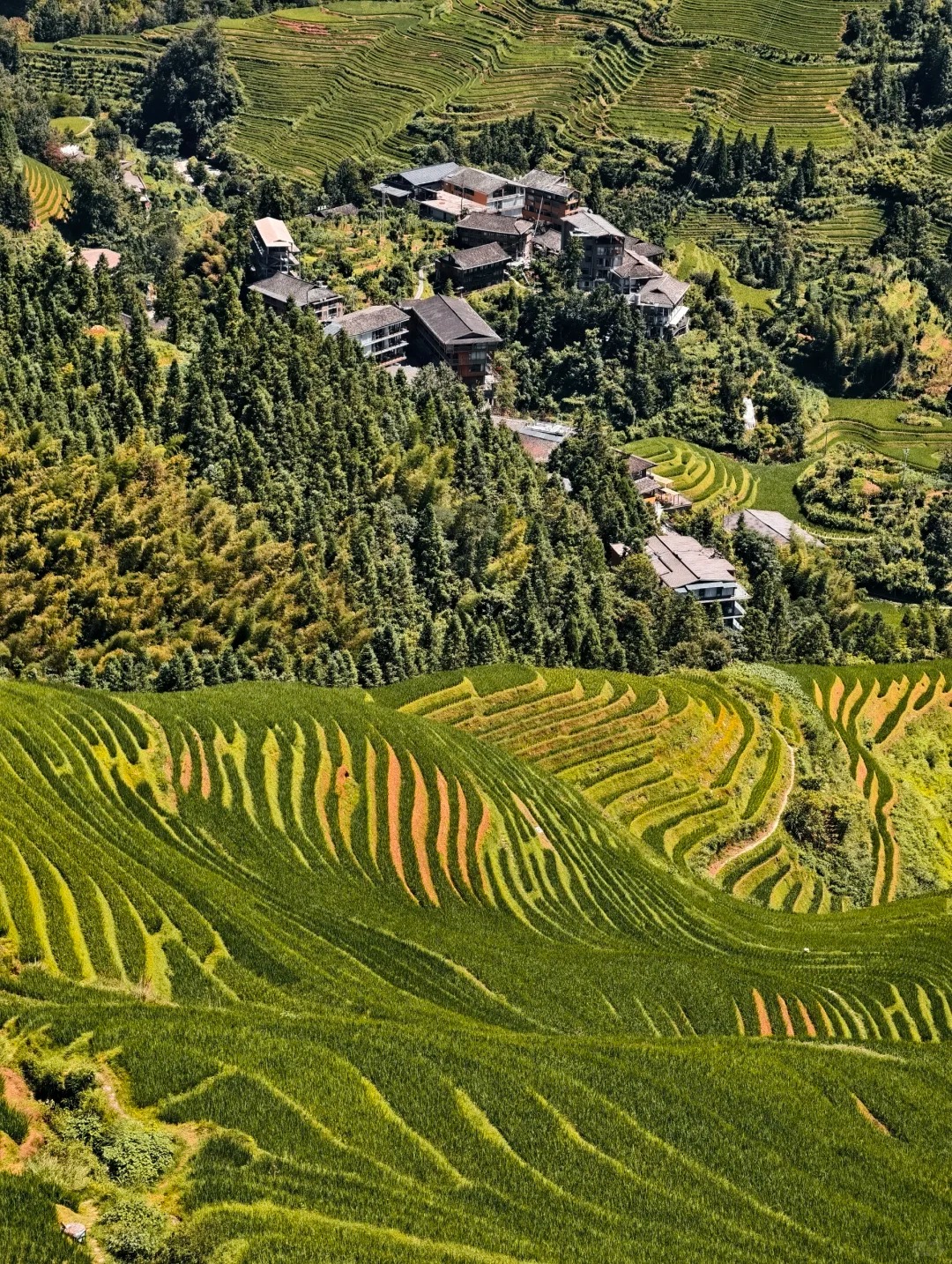 桂林 龙脊梯田 原图直出  8.26📷_4_云卿_来自小红书网页版.jpg